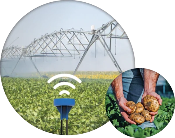 AI-Driven Smart Soil Micro-Sensors