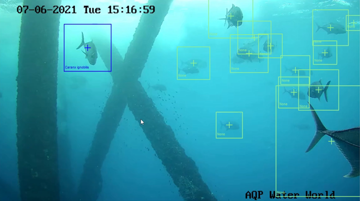 Underwater Recognition