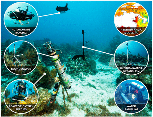coral reef monitoring