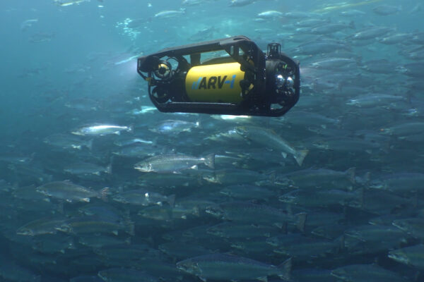 Underwater Drones
