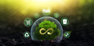 Internet Environmentalism