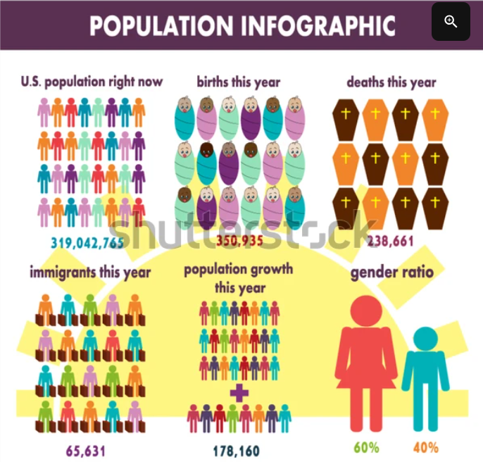 Population Mortality