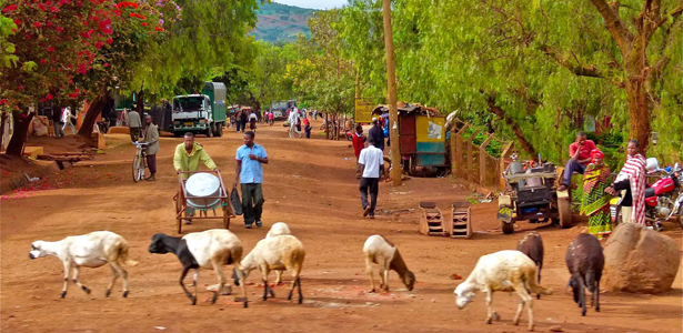 Rural Population