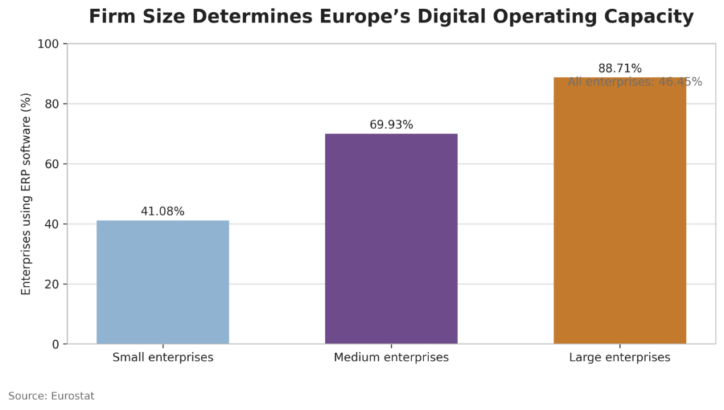 Firm Size Determines Europe’s Digital Operating Capacity